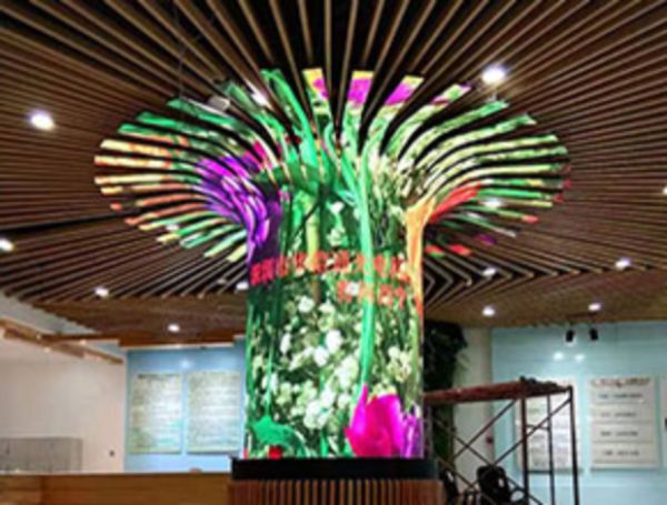 Qinghai Xining P2 small pitch high-definition LED tree screen